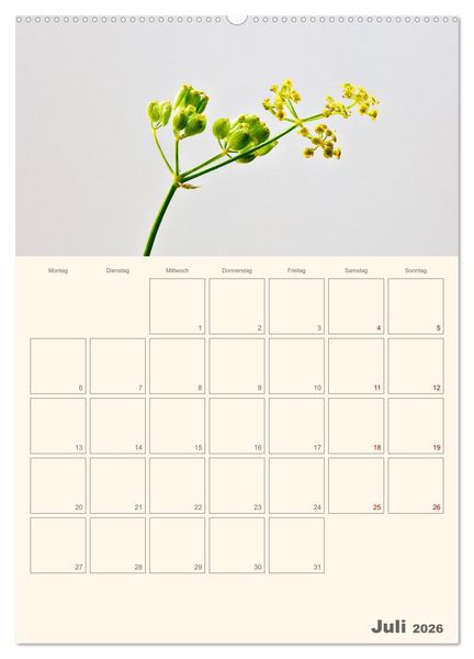 Produktbild: Blumenmetamorphosen (Wandkalender 2026 DIN A2 hoch), CALVENDO Monatskalender