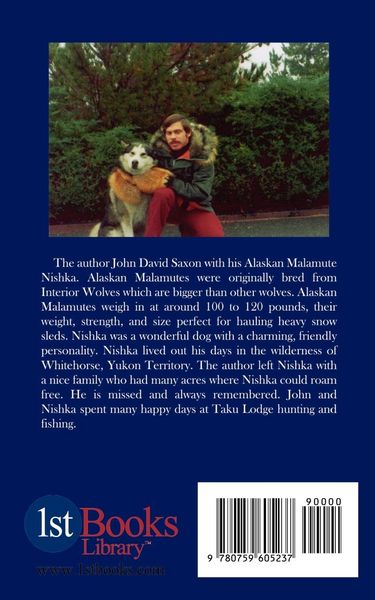 Produktbild: Rings of Ice