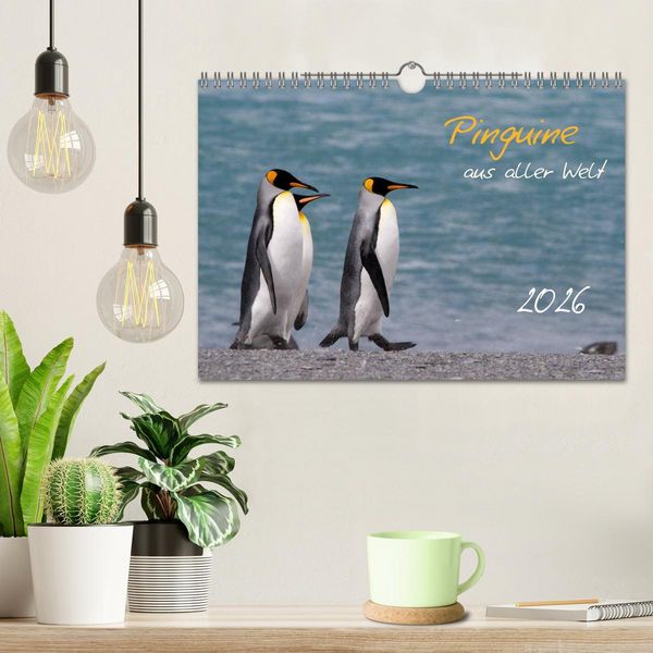 Produktbild: Pinguine aus aller Welt (Wandkalender 2026 DIN A4 quer), CALVENDO Monatskalender