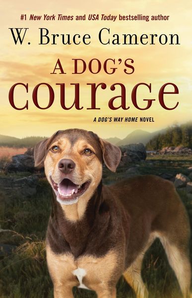 Produktbild: A Dog's Courage