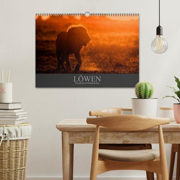Produktbild: L&ouml;wen Wildlife-Fotografien (Wandkalender 2026 DIN A3 quer), CALVENDO Monatskalender