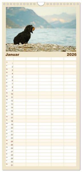 Produktbild: Familienplaner 2026 - Die Dackel daggeln.... mit 5 Spalten (Wandkalender, 21 x 45 cm) CALVENDO