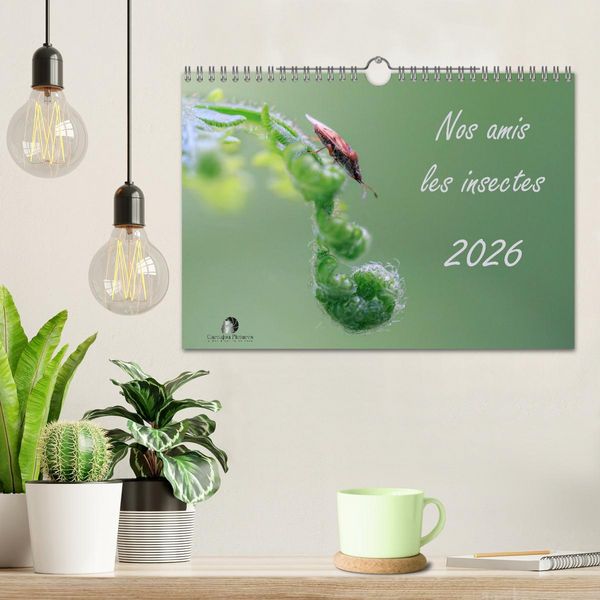 Produktbild: Nos amis les insectes (Calendrier mural 2026 DIN A4 vertical), CALVENDO calendrier mensuel
