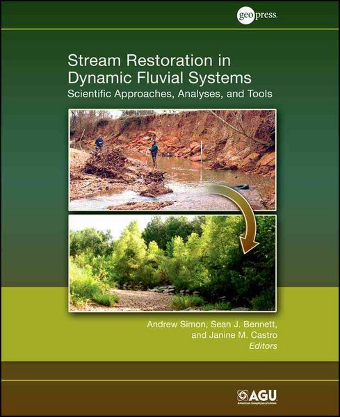 Produktbild: Stream Restoration in Dynmaic Fluvial systems: Scientific