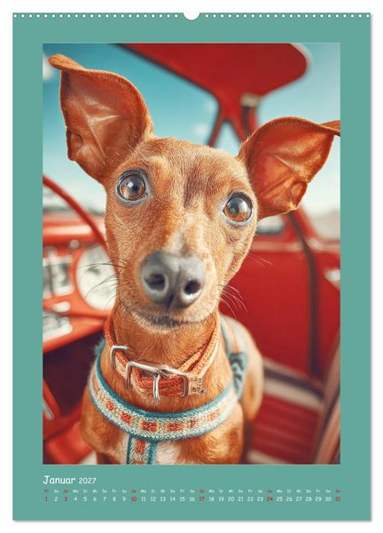 Produktbild: Mini-Pinscher. Kleine Hunde in sch&ouml;nen Momenten (Wandkalender 2027 DIN A2 hoch), CALVENDO Monatskalender