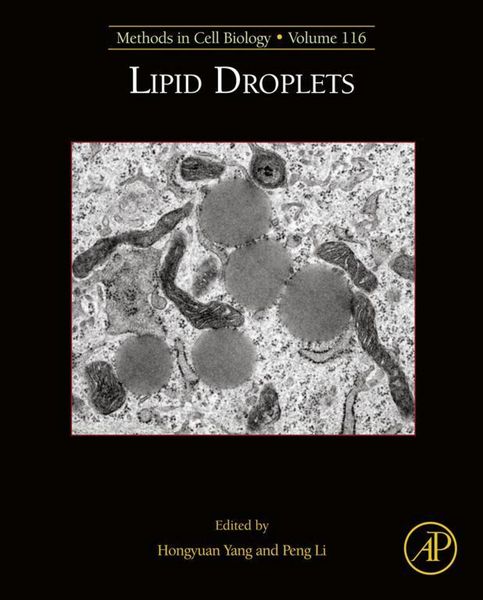 Produktbild: Lipid Droplets