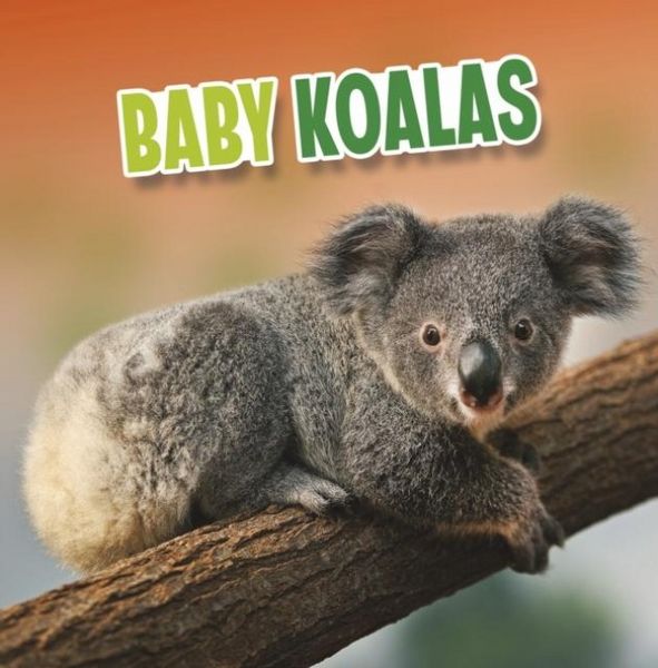 Produktbild: Baby Koalas