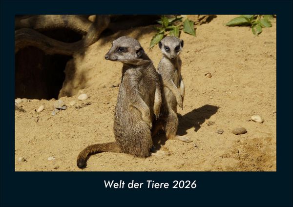 Welt der Tiere 2026 Fotokalender DIN A4