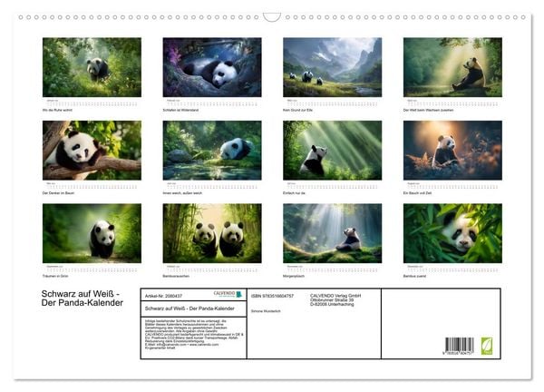 Produktbild: Schwarz auf Wei&szlig; - Der Panda-Kalender (Wandkalender 2026 DIN A2 quer), CALVENDO Monatskalender