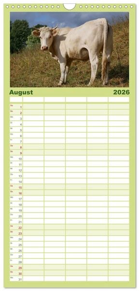 Produktbild: Familienplaner 2026 - Weiderinder im Frankenwald mit 5 Spalten (Wandkalender, 21 x 45 cm) CALVENDO