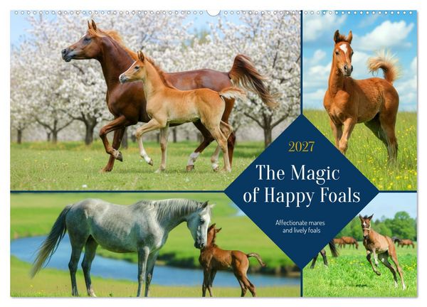 Produktbild: The Magic of Happy Foals (Wall Calendar 2027 DIN A2 landscape), CALVENDO 12 Month Wall Calendar