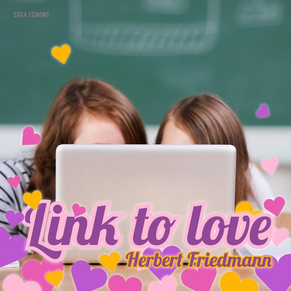 Produktbild: Link to Love (Ungek&uuml;rzt)