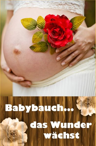 Produktbild: Babybauch...das Wunder w&auml;chst