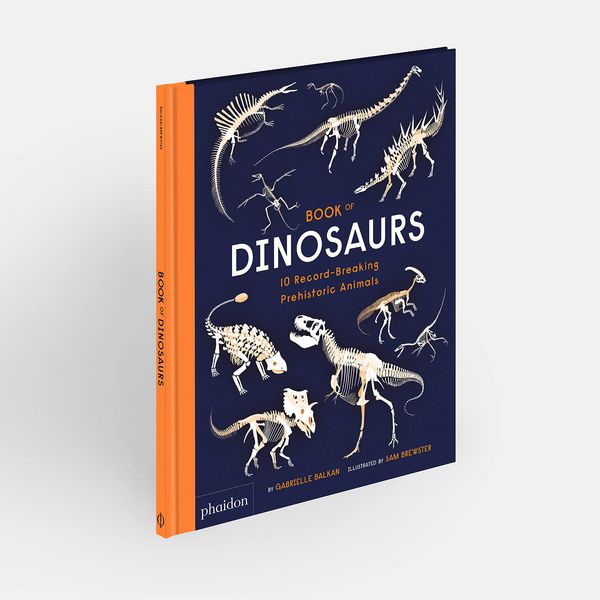 Produktbild: Book of Dinosaurs