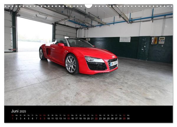 Produktbild: Vollblut-Sportler (Wandkalender 2025 DIN A3 quer), CALVENDO Monatskalender