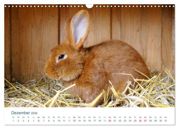 Produktbild: Tierisches Leben auf dem Bauernhof 2026 (Wandkalender 2026 DIN A3 quer), CALVENDO Monatskalender