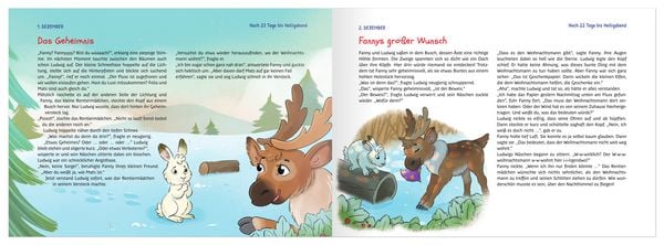 Produktbild: Fanny sucht den Weihnachtsmann