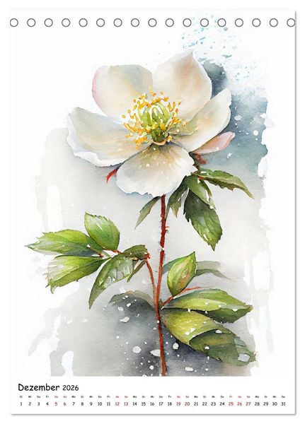 Produktbild: Aquarellmalerei - Blumen und Tiere im Garten (Tischkalender 2026 DIN A5 hoch), CALVENDO Monatskalender