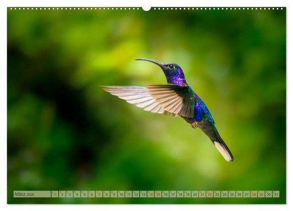 Produktbild: Tropenparadies zwischen Ozeanen Costa Rica (Wandkalender 2026 DIN A2 quer), CALVENDO Monatskalender