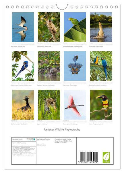 Produktbild: Pantanal Wildlife Photography (Wall Calendar 2026 DIN A4 portrait), CALVENDO 12 Month Wall Calendar