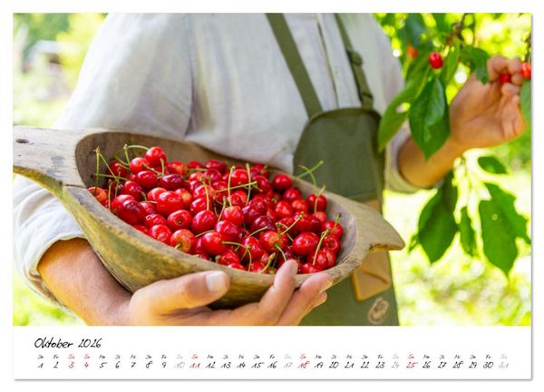 Produktbild: Kirschen aus dem Garten &ndash; Erntekalender (Wandkalender 2026 DIN A2 quer), CALVENDO Monatskalender