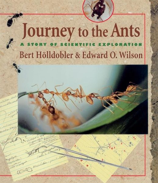 Produktbild: Journey to the Ants