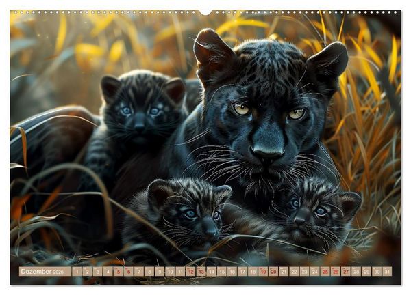 Produktbild: Tierkinder des S&uuml;dens (hochwertiger Premium Wandkalender 2026 DIN A2 quer), Kunstdruck in Hochglanz