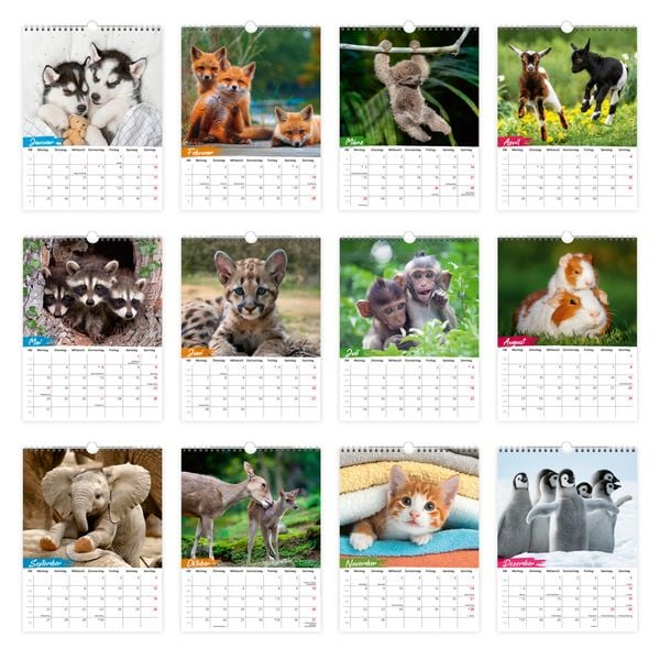Produktbild: TR&Ouml;TSCH - Notizkalender zum H&auml;ngen Tierkinder 2027