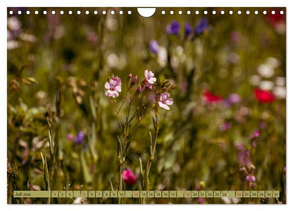 Produktbild: Wildwuchs 2026 (Wandkalender 2026 DIN A4 quer), CALVENDO Monatskalender