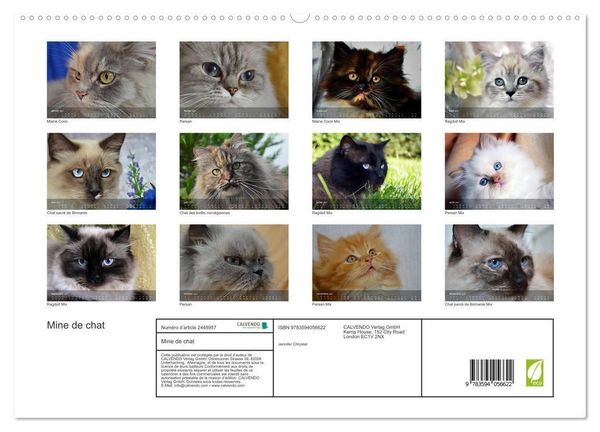Produktbild: Mine de chat (Calendrier mural haut de gamme 2027 DIN A2 vertical), CALVENDO calendrier mensuel