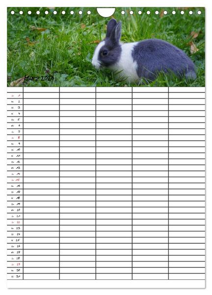 Produktbild: Meerschweinchen und Kaninchen Familienplaner (Wandkalender 2026 DIN A4 hoch), CALVENDO Monatskalender