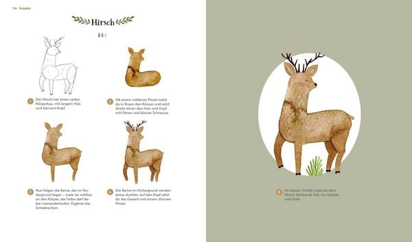 Produktbild: Watercolor &ndash;&nbsp;Wilder Wald