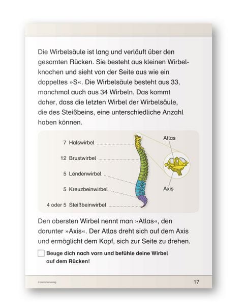 Produktbild: Ich kenne meinen Körper - Skelett, Muskeln und Wirbelsäule