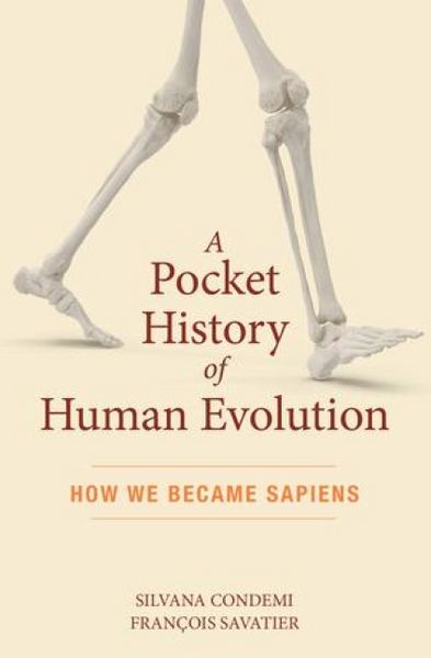 Produktbild: A Pocket History of Human Evolution