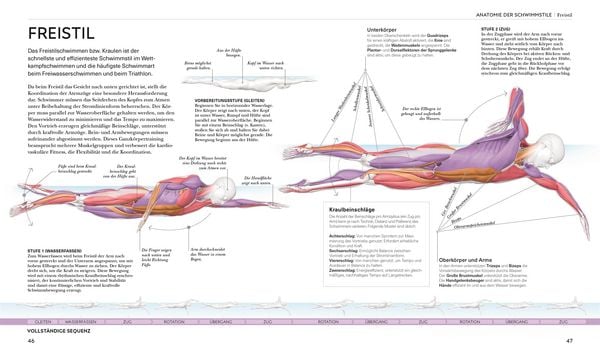 Produktbild: Schwimmen - Die Anatomie verstehen