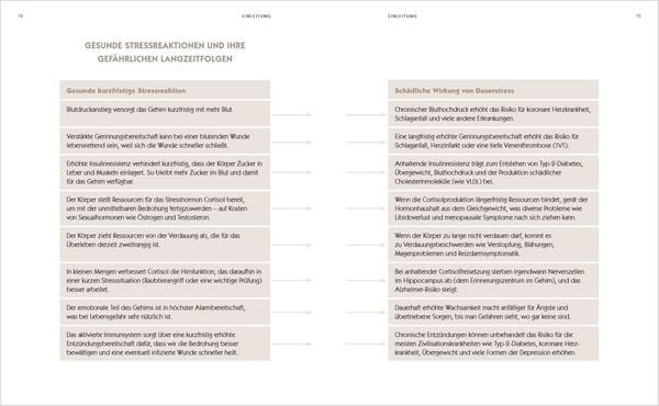 Produktbild: Der Anti-Stress-Plan