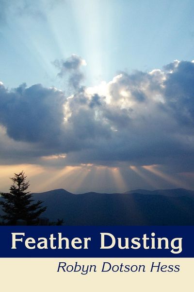 Produktbild: Feather Dusting