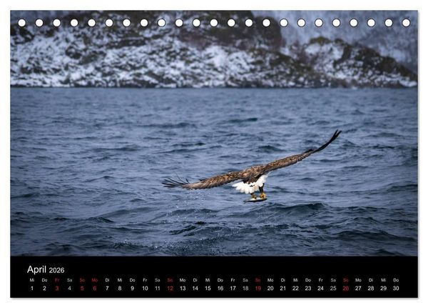 Produktbild: Lofoten Impressionen von Armin Fuchs (Tischkalender 2026 DIN A5 quer), CALVENDO Monatskalender