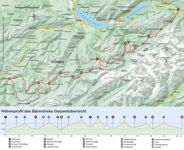 Produktbild: Schweiz: B&auml;rentrek von Meiringen nach Gstaad