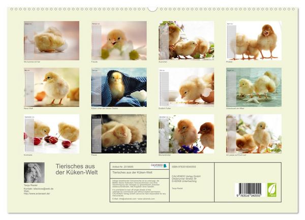 Produktbild: Tierisches aus der K&uuml;ken-Welt (hochwertiger Premium Wandkalender 2026 DIN A2 quer), Kunstdruck in Hochglanz