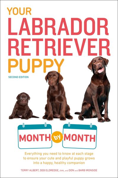 Produktbild: Your Labrador Retriever Puppy Month by Month, 2nd Edition