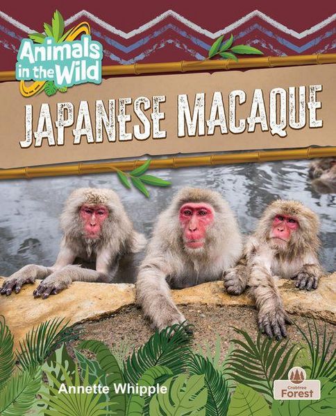 Produktbild: Japanese Macaque
