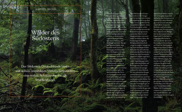 Produktbild: Wild Guide Deutsche W&auml;lder