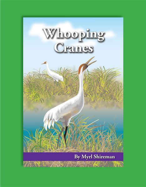 Produktbild: Whooping Cranes