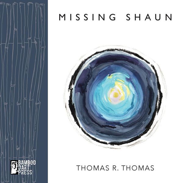 Produktbild: Missing Shaun