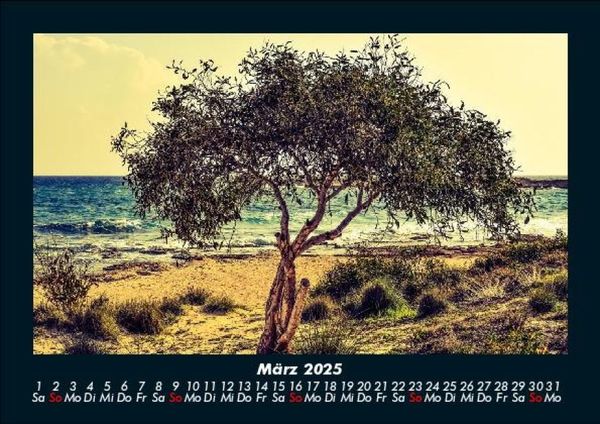 Produktbild: B&auml;ume 2025 Fotokalender DIN A5