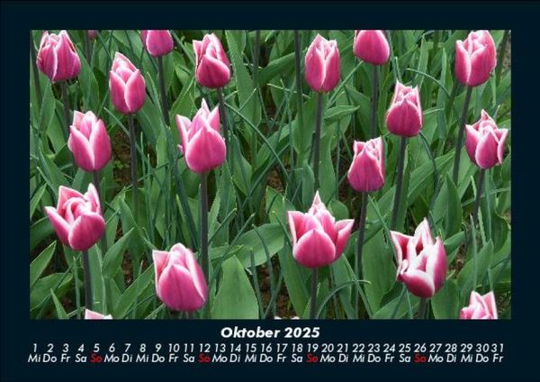 Produktbild: Blumentr&auml;ume 2025 Fotokalender DIN A5