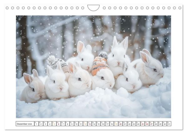 Produktbild: Lustige Hasengeschichten (Wandkalender 2026 DIN A4 quer), CALVENDO Monatskalender