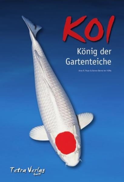 Koi - König der Gartenteiche