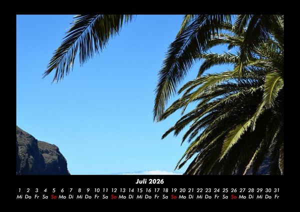 Produktbild: Palmentraum 2026 Fotokalender DIN A3
